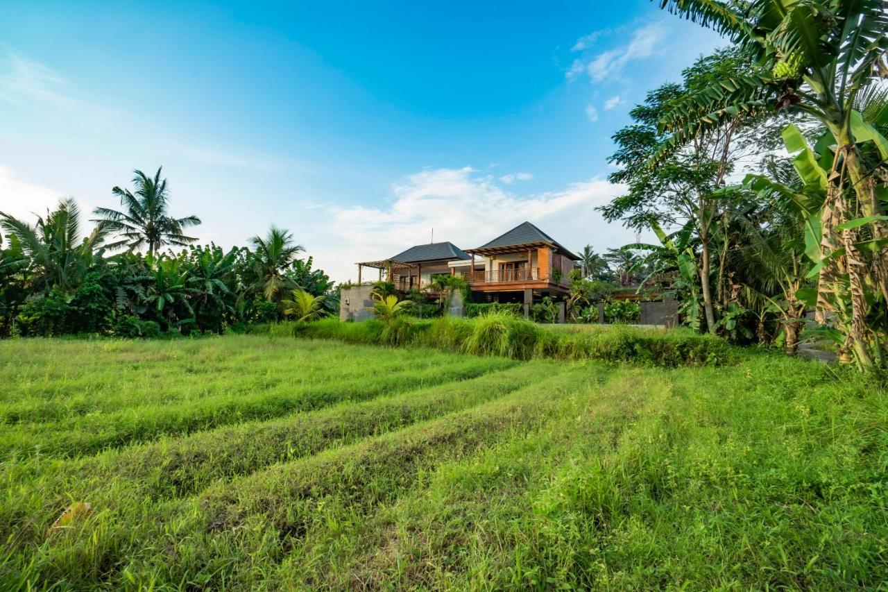 Uma Shanti Villa By Mahaputra อูบุด ภายนอก รูปภาพ